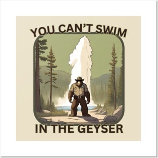 You Can't Swim in the Geyser. Posters and Art